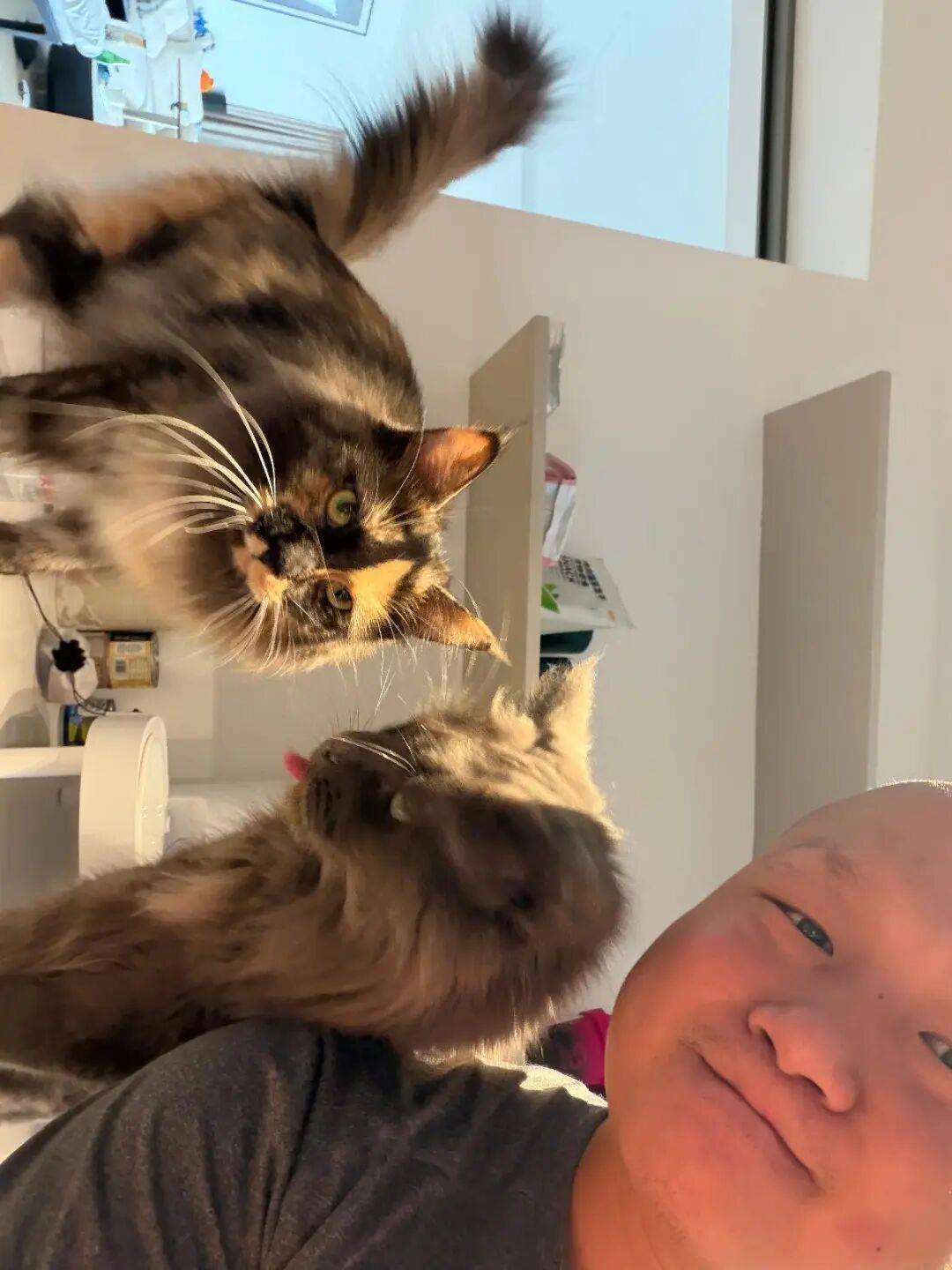 谷爱凌大跳台摘银：两月前曾于成皆操练，一度“练到崩溃”｜封面深镜